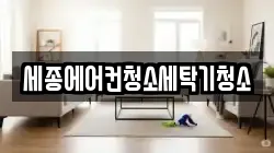 세종에어컨청소세탁기청소