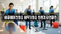 세종에어컨청소 세탁기청소 친환경자연클린