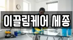 이끌림케어 세종
