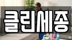 클린세종