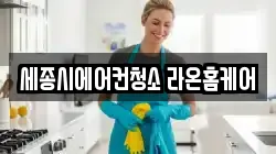 세종시에어컨청소 라온홈케어