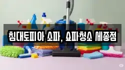침대토피아 소파, 쇼파청소 세종점