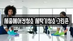 세종에어컨청소 세탁기청소 그린존