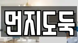 먼지도둑