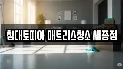 침대토피아 매트리스청소 세종점