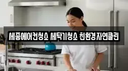세종에어컨청소 세탁기청소 친환경자연클린