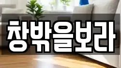 창밖을보라