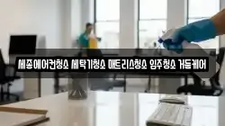 세종 집현동 청소,입주청소,사무실청소,에어컨청소,특수청소,상가청소,거주청소,유품정리
