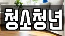 청소청년