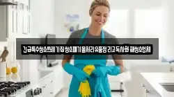 긴급특수청소쓰레기집청소폐기물처리유품정리고독사화재청소업체
