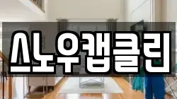 스노우캡클린