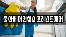 울산광역시 남구 청소,입주청소,사무실청소,에어컨청소,특수청소,상가청소,거주청소,유품정리