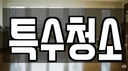 특수청소
