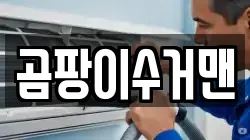 곰팡이수거맨