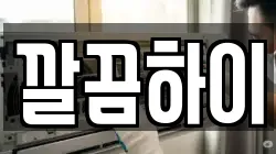 깔끔하이