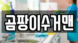 곰팡이수거맨