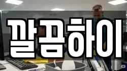 깔끔하이