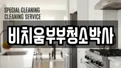 비치움부부청소박사