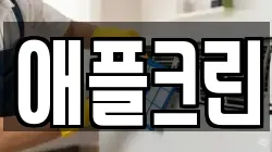 애플크린