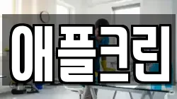 애플크린