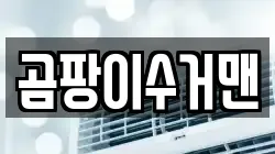 곰팡이수거맨