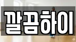 깔끔하이