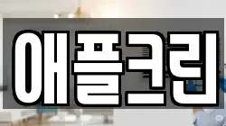 애플크린