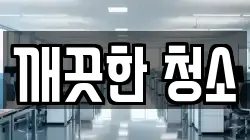 깨끗한 청소