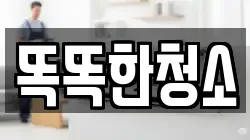 똑똑한청소