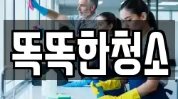 똑똑한청소