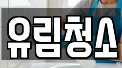 유림청소