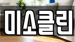 미소클린