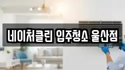 네이처클린 입주청소 울산점