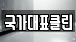 국가대표클린
