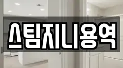 스팀지니용역