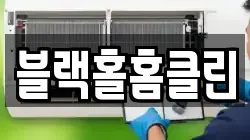 블랙홀홈클린