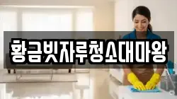 황금빗자루청소대마왕