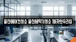 울산광역시 울주군 청소,입주청소,사무실청소,에어컨청소,특수청소,상가청소,거주청소,유품정리