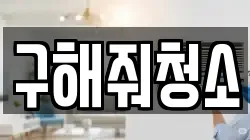 구해줘청소
