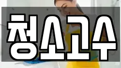 청소고수