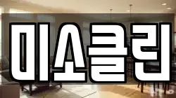 미소클린