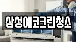 삼성에코크린청소