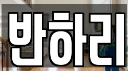 울산광역시 중구 반구동 청소,입주청소,사무실청소,에어컨청소,특수청소,상가청소,거주청소,유품정리