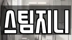 스팀지니