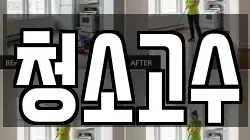 청소고수