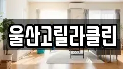 울산고릴라클린