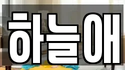 하늘애