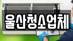 울산청소업체
