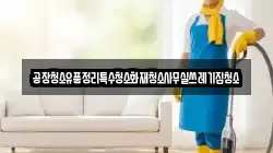 공장청소유품정리특수청소화재청소사무실쓰레기집청소