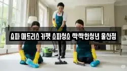 쇼파 매트리스 카펫 소파청소 싹싹한청년 울산점